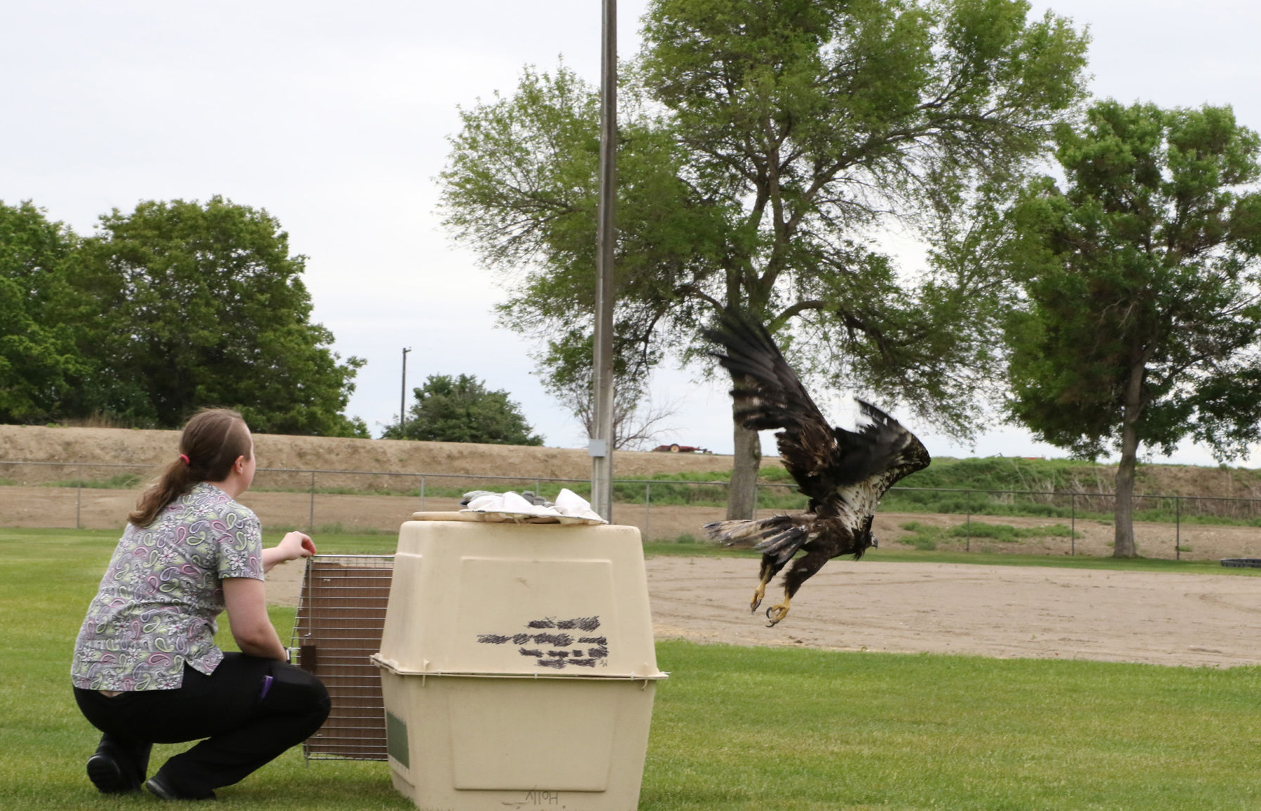 Fly like an eagle